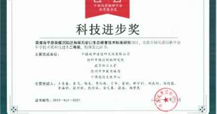 挖掘出被生活忽略的美
