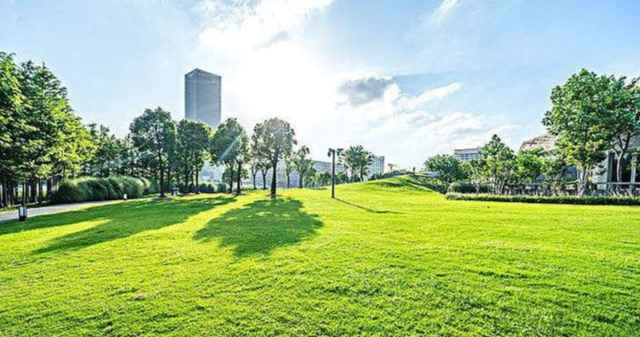 结合国内外乡村建设经验和电玩城注册送