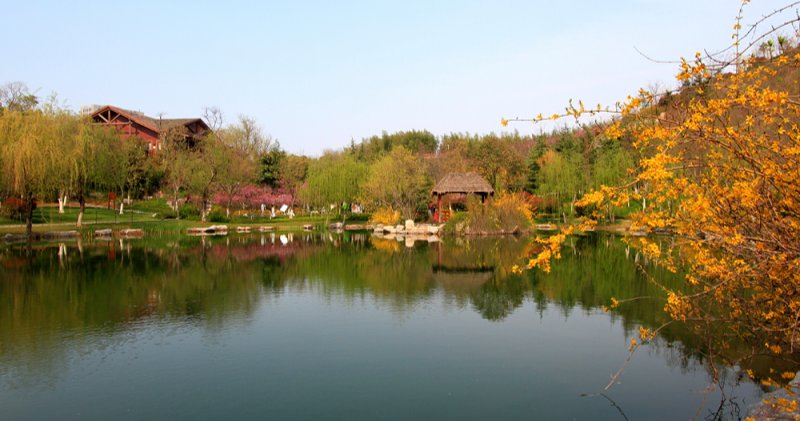 习近平总书记在党的十九大中提出乡村振